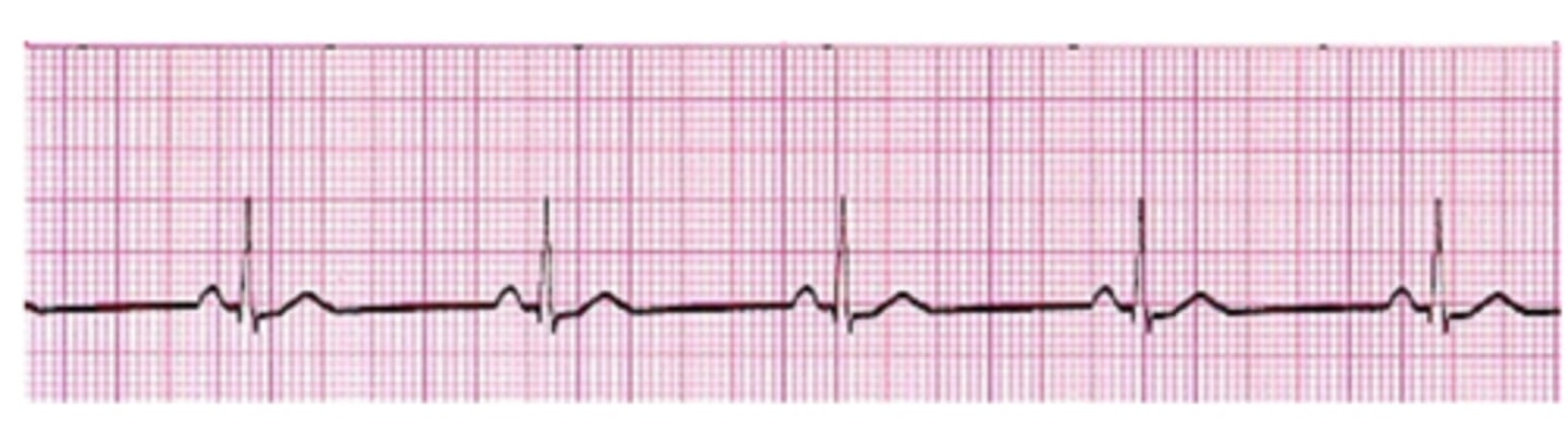 <p>What is this?</p>