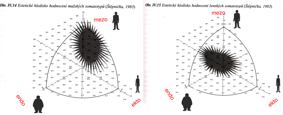 <p>ání muži s převažující mezomorfní složkou, u žen je situace poněkud jiná, zde jsou za nejpohlednější považovány ženy v oblasti mezo-endomorfní.</p>