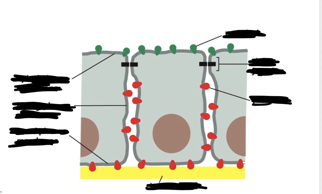 <p>label the following diagram </p>