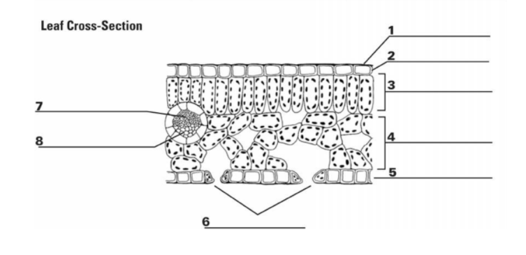 <p>3</p>