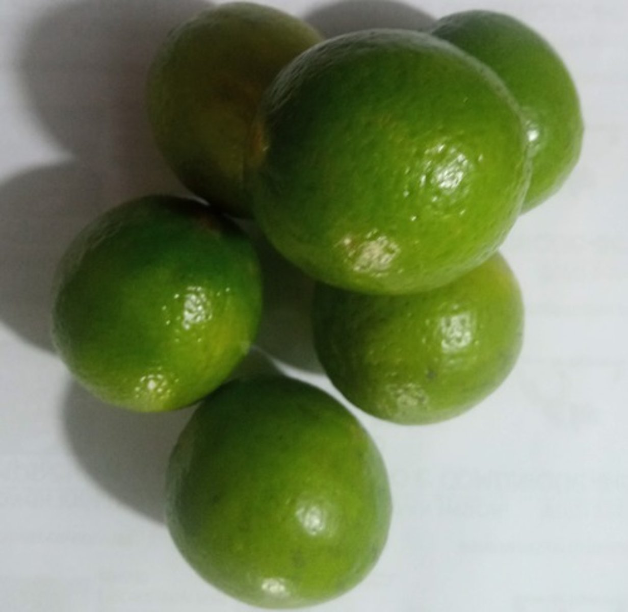 <p>QUE LIMÕES VOCÊ VÊ? EU VEJO LIMÕES VERDES.</p>