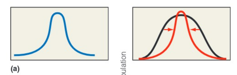 <p>the mean phenotype has higher fitness than the phenotypes at either end of the distribution</p>