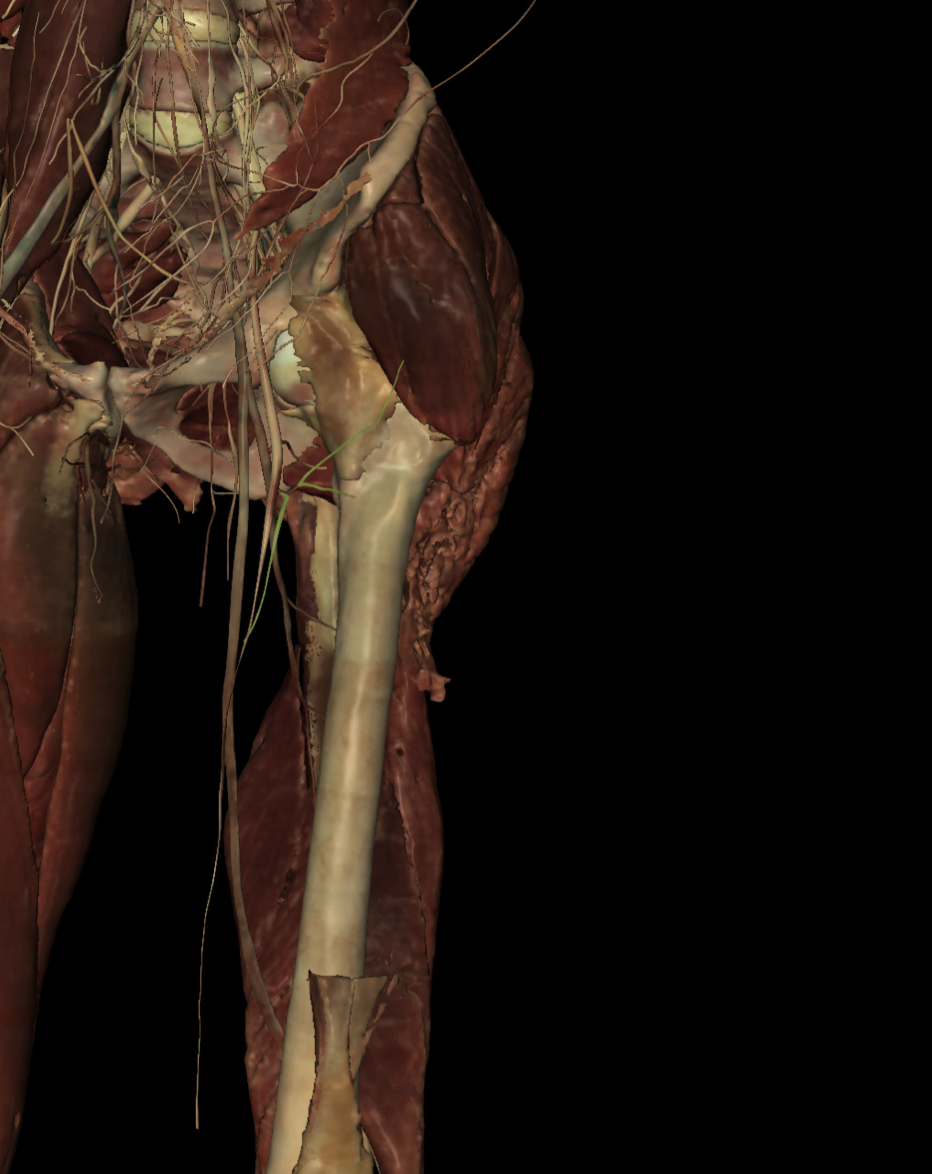 <p>Identify the Structure</p>
