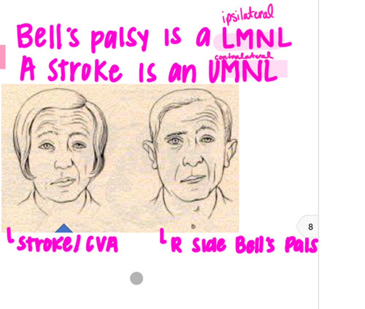 knowt flashcard image