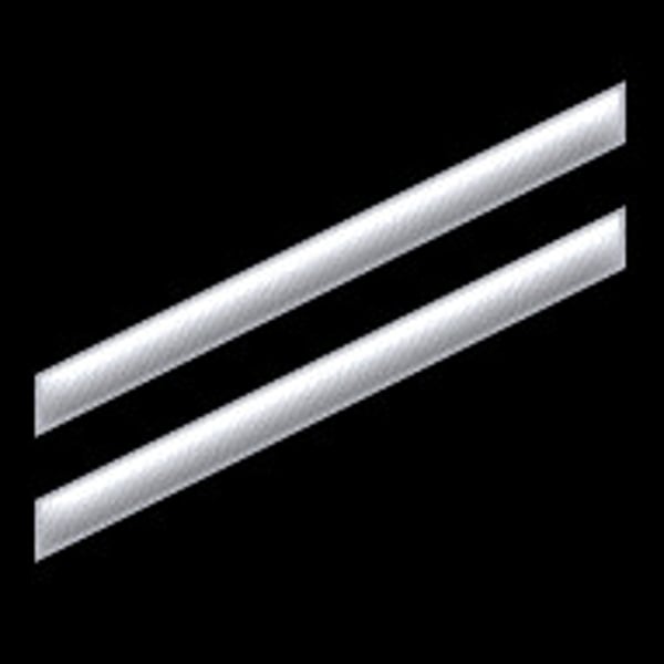 <p>Seaman Apprentice (SA)</p>