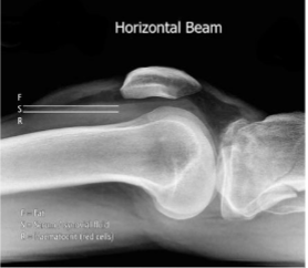 <p>What is this and what type of scan </p>