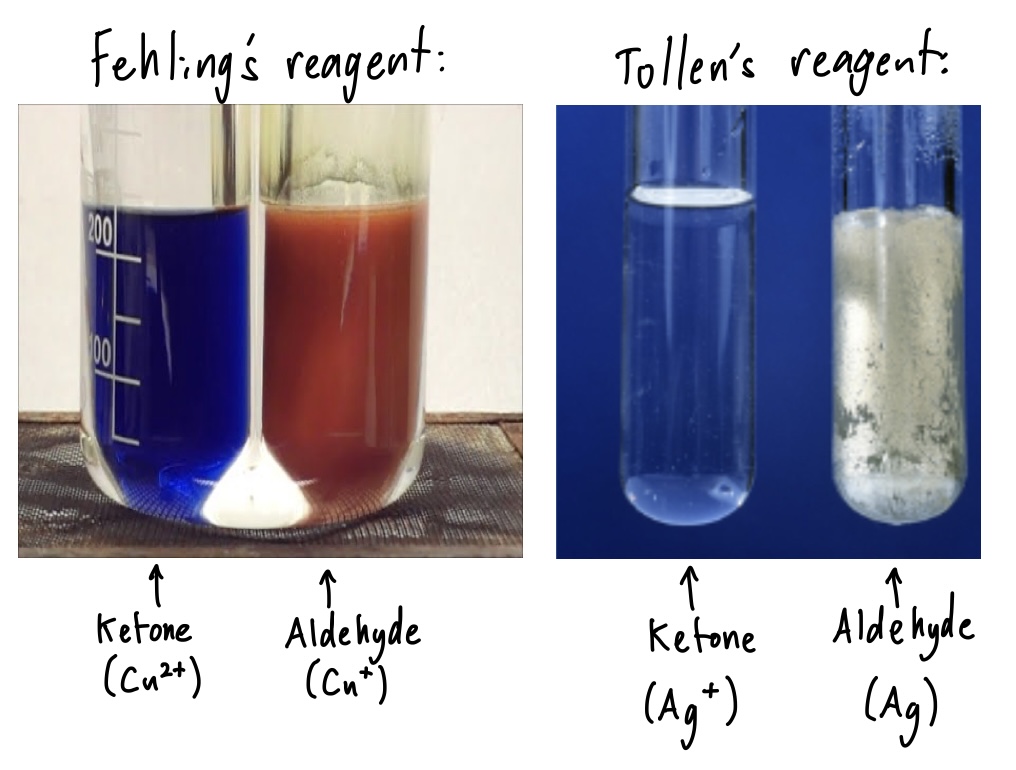 <ul><li><p><strong>Fehling’s solution- turns from clear blue to a red precipitate when heated gently with an aldehyde </strong>(as the blue <strong>Cu 2+ </strong>ions oxidise the aldehyde and are themselves reduced to <strong>Cu +</strong> in the red precipitate Cu2O)</p></li><li><p><strong>Tollen’s solution- turns from clear and colourless to a silver mirror when heated gently with an aldehyde </strong>(as the dissolved <strong>Ag +</strong> ions oxidise the aldehyde and are themselves reduced to insoluble <strong>Ag</strong> atoms) </p></li></ul>