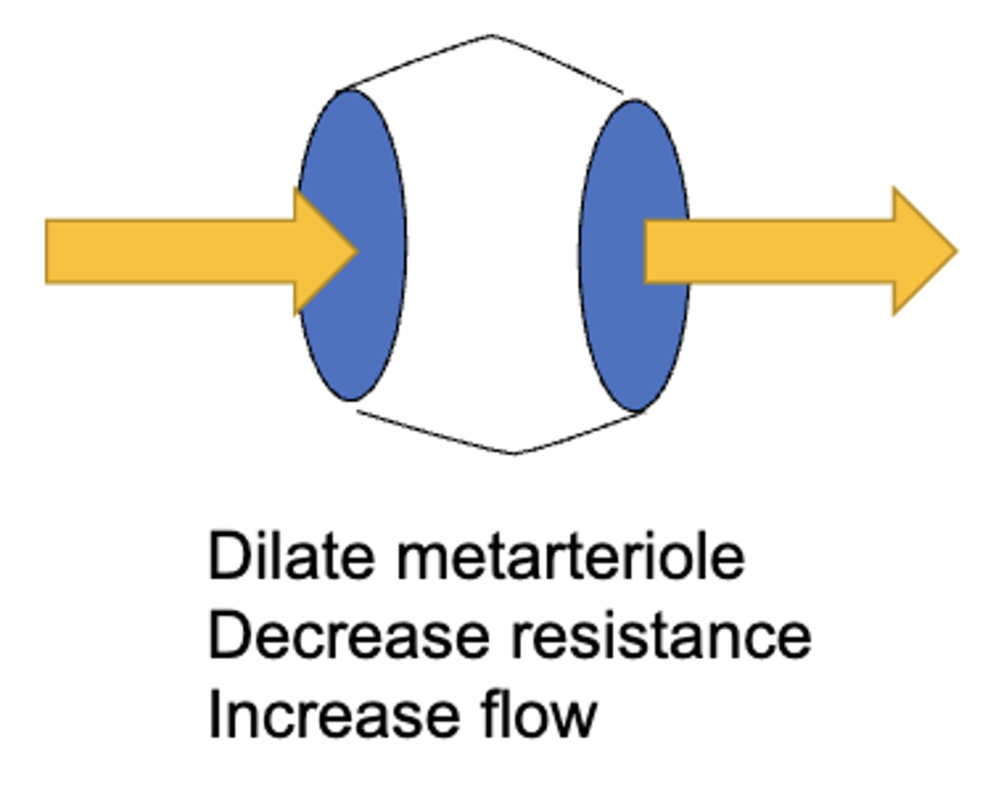<p>decrease, increase</p>