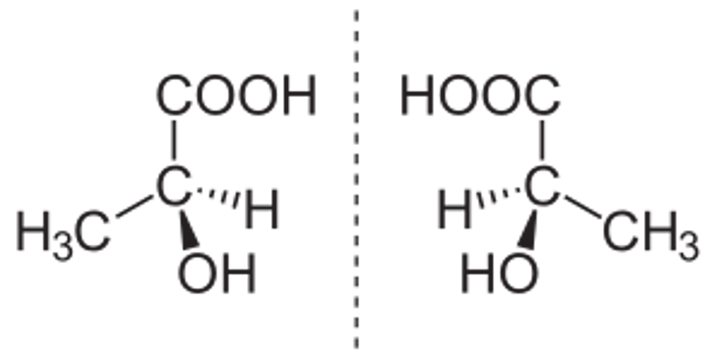 <p>Mirror image of one another</p>