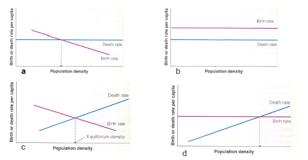<p>Which of these graphical models illustrates density-dependent birth rates and density-independent death rate?</p>