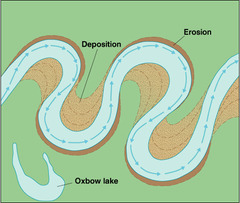 <ol><li><p>faster current on outside bend as river channel is deeper</p></li><li><p>erosion takes place on outside bend, forming river cliffs</p></li><li><p>slower current on inside bend as river is shallower</p></li><li><p>deposited eroded material in inside bend, forming slip-off slopes</p></li></ol>