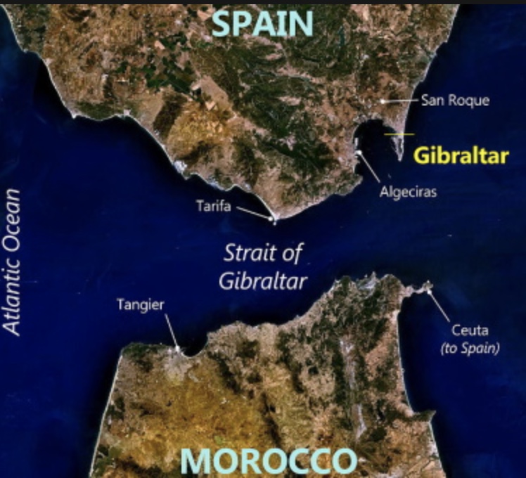 term image