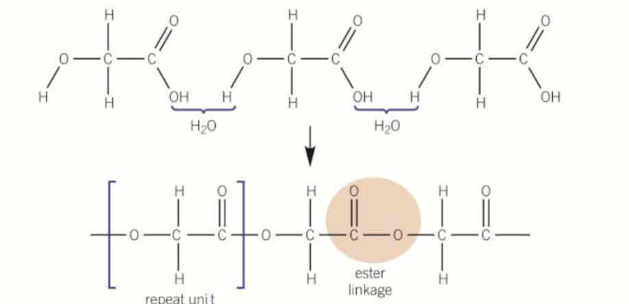 <p>The COOH group in one monomer reacts with the OH group in another monomer, forming ester bond and water</p>