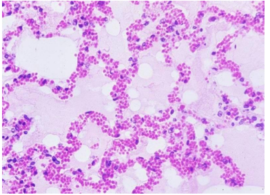 <p>What is this?</p>