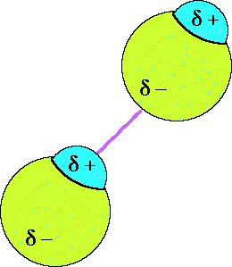 <p>the positive end of one polar molecule is attracted to the negative end of another molecule; relatively weak attraction force</p>