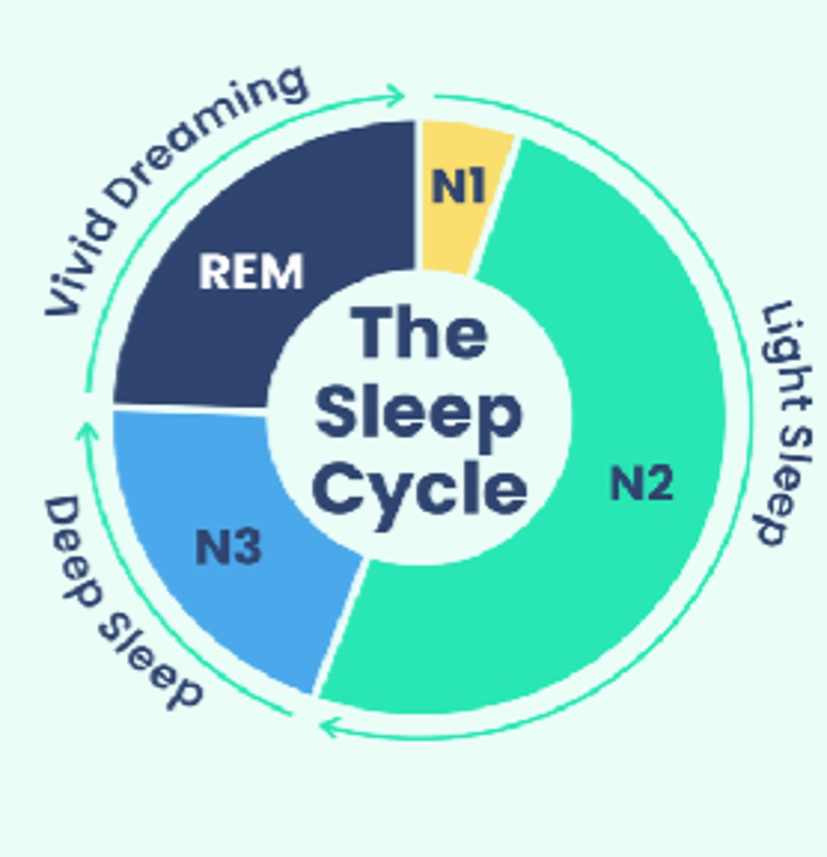<p>- HR and breathing slows</p><p>- Muscles relax</p><p>- Temperature drops</p>