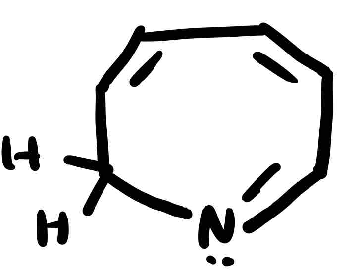 <p>7 ring (2 H on C)</p>