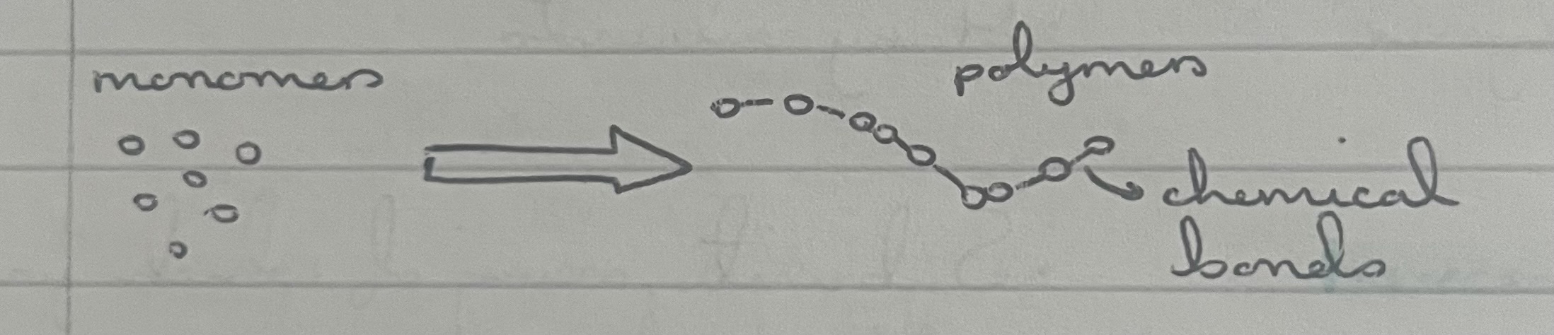 <p>lots of condensation reactions occurring to join lots of monomers together, producing a polymer </p>