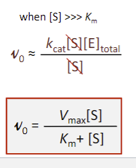 <p><span style="font-family: sans-serif">1. [S] remains constant during rxn ([S 0]≈[St]). Using initial velocities &amp; [S 0 ]&gt;[E]total</span><br><span style="font-family: sans-serif">2. conversion of product back to substrate is negligible</span><br><span style="font-family: sans-serif">3. steady-state assumption: rate of formation of ES = rate of decomposition of ES</span></p>