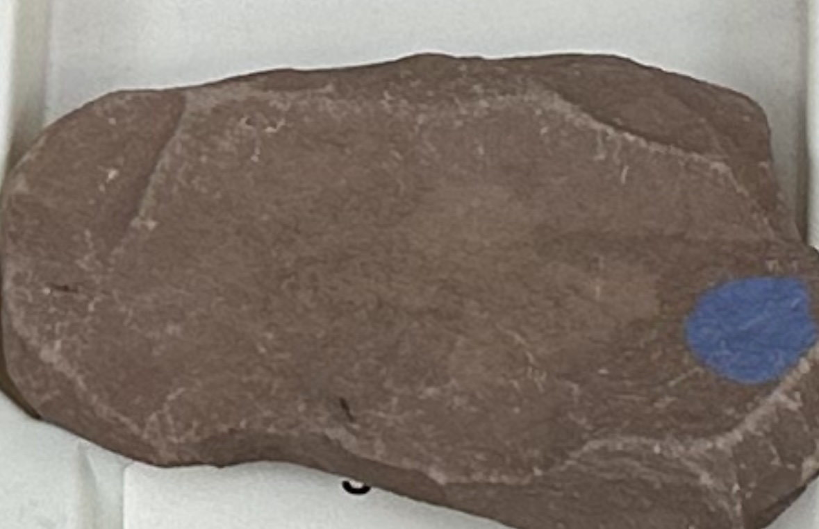 <p><strong><u>CLASTIC/DETRITAL</u></strong></p><p><strong>GRAIN:</strong></p><p>size— 1/256mm - 1/16mm, shape— very fine, sorting— well-sorted</p><p><strong>HCI: </strong>likely reaction</p><p><strong>ENVIRONMENT:</strong> continental (lake) to marine (continental slope/rise)</p><p><strong>CEMENT:</strong> calcite</p><p><strong>POROUS:</strong> low</p><p><strong>MINERAL(S): </strong>quartz, feldspar, rock and/or clay fragments<br><strong>OTHER:</strong> feels chalky, does not split along layers (non-fissile)</p>
