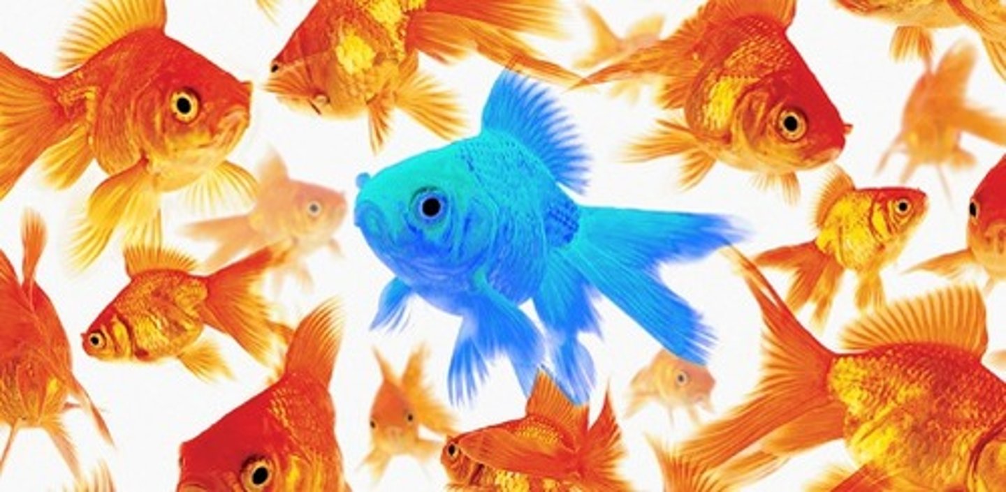 <p>(v): trở nên khác biệt</p>