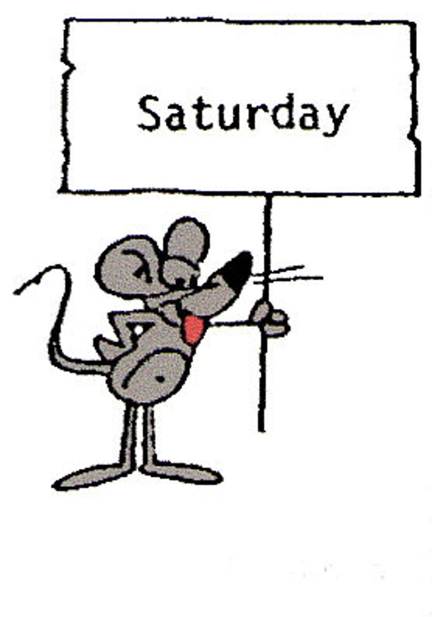 <p>Saturday</p>