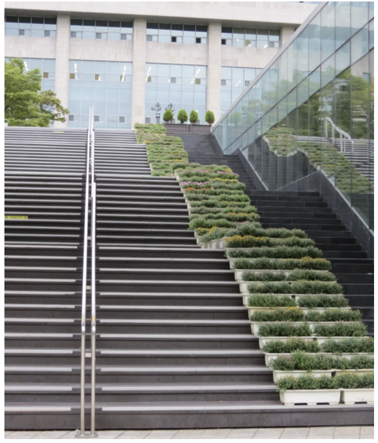 <p>Which of the following statements describes a “pattern” in the photograph below?</p>