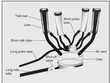 <p>Milking units</p><p>Vacuum production and control system</p><p>Milk transport system</p><p>Cleaning and sanitation systems</p>