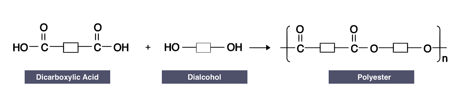 <ul><li><p>remove the 2 OHs from the dicarboxylic acid</p></li><li><p>remove the end Hs from the diol </p></li><li><p>join the two together, bracket, and n h</p></li></ul><p></p>