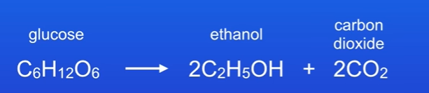<p>C6H12O6 → 2c2H5Oh + 2CO2</p><p>The desired product is ethanol, so work out the Mr of ethanol, which is 46, but theres a big 2 infront of ethanol , meaning we are making 2 molecules of it, therefore it would be 2 × 46 = 92.</p><p>Then find out relative formula mass of glucose, which is 180.</p><p>(92 / 180 ) X 100 is 51.1%</p>