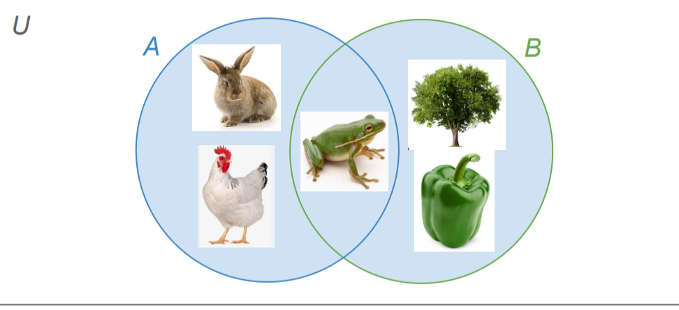 <ul><li><p>symbol: U</p></li><li><p>Set operation that involves two sets combining that produce a new set</p></li><li><p>Includes all elements of old and new set</p></li></ul><p></p>
