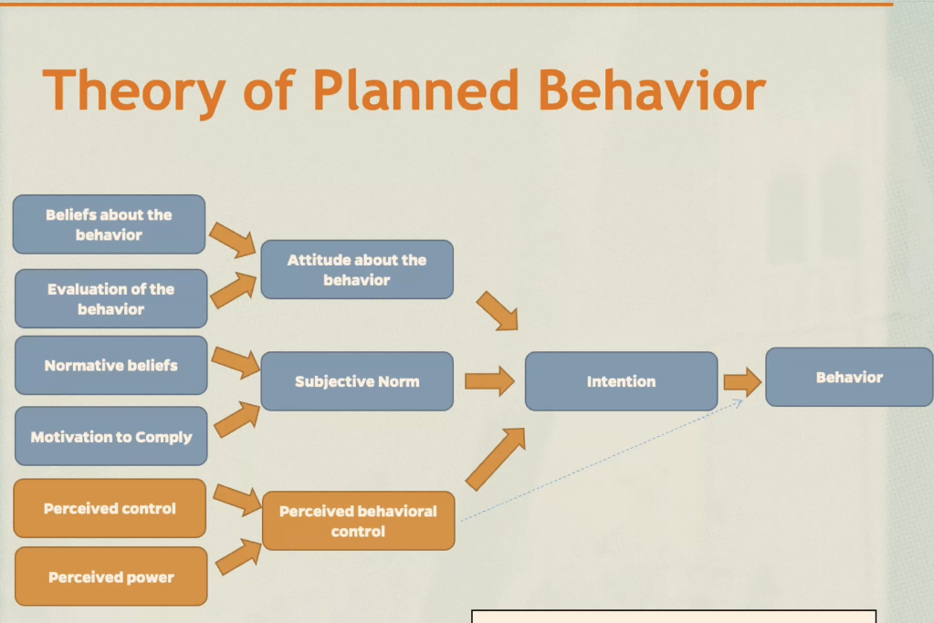 <p>Theory of Planned Behavior</p>