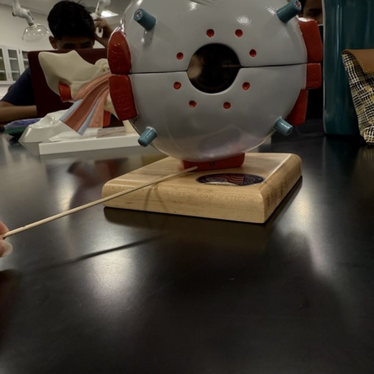 <p>What is this structure?</p>