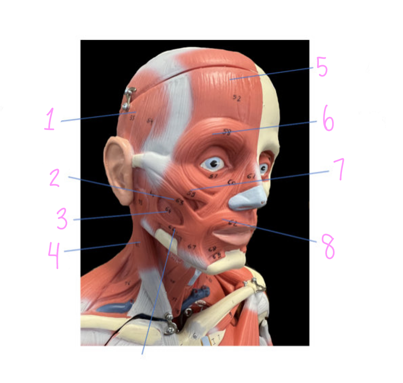 <p>2</p>