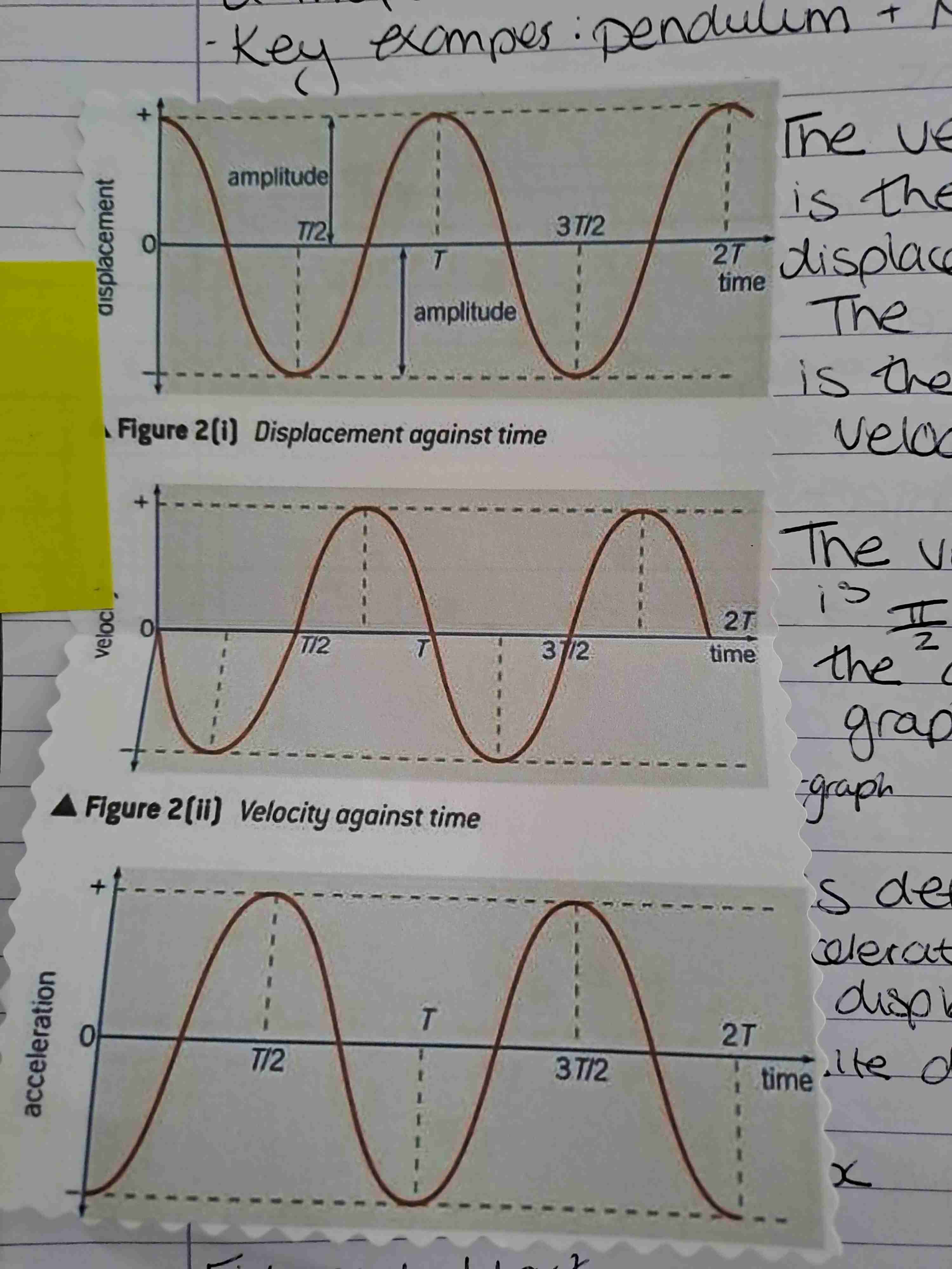 <p>Graph </p>