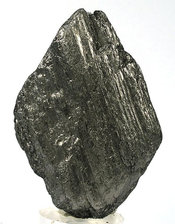 <p>C</p>