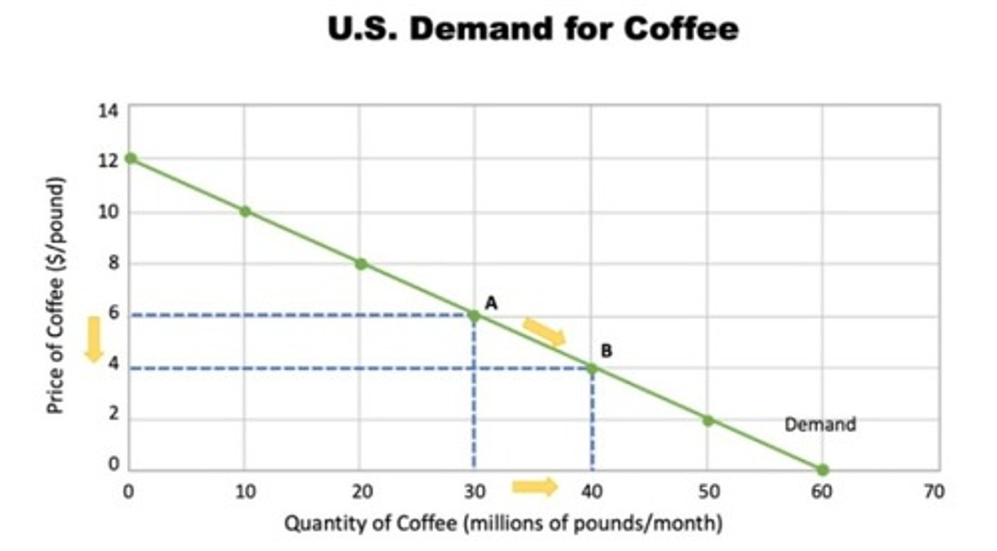 <p>a graph of the relationship between the price of a good and the quantity demanded</p>