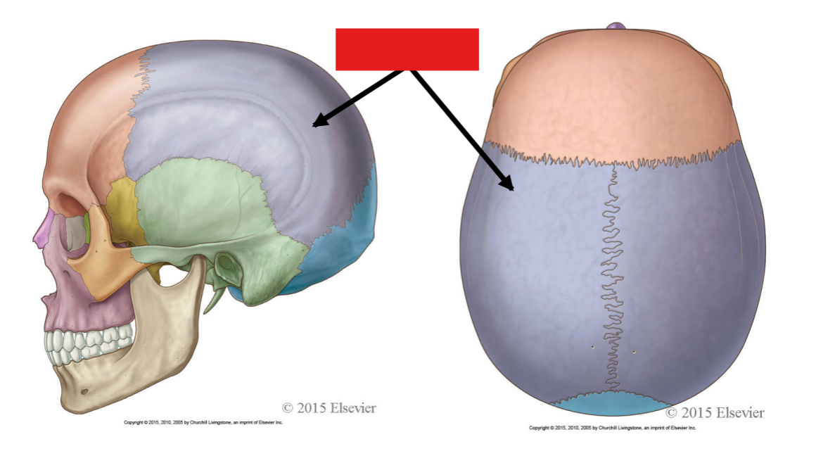 <p>Fill in the red box:</p>