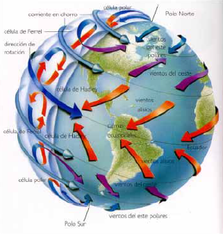 <p>Existen 3 células convectivas por hemisferio (c.Polar, c.Ferrel y c.Hadley). La de Ferrel gira en sentido opuesto a las otras dos. En sus puntos intermedios se forman cinturones de nubes de baja convección.</p>