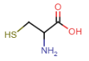 <p>- contains thiol in side chain<br>- thiol: SH<br>- SH bond is weaker than OH, sulfur more electronegative than oxygen = thiol group prone to oxidation<br></p>