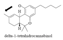 <p>Name Enzyme&nbsp;</p>