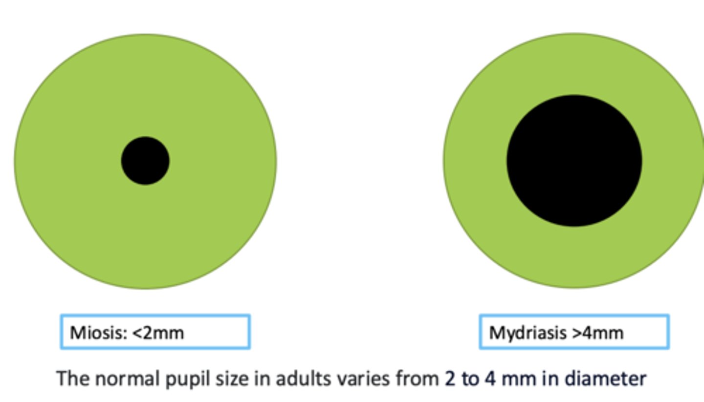 <p>Miosis: &lt;2mm</p><p>Mydriasis: &gt;4mm</p><p>- the normal pupil size in adults varies from 2-4 mm in diameter</p>