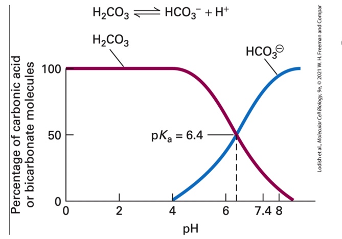 <p>what happens as pH increases </p>