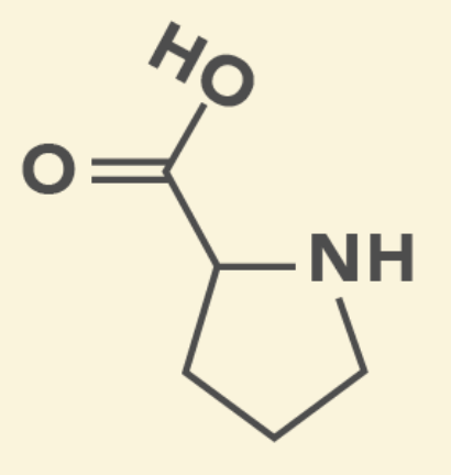 <ul><li><p>Aliphatic (Nonpolar)</p></li><li><p>Rigid ring strongly affects protein structure</p></li></ul><p></p>