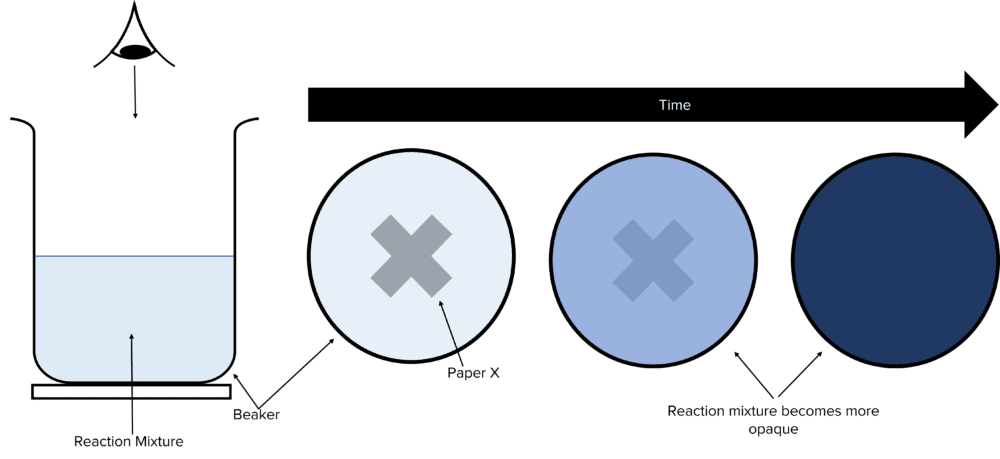 <p>What is the basic overview of this experiment?</p>