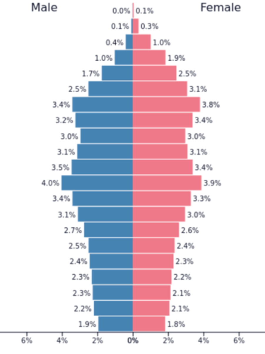 <p>The number of children a woman must have to replace herself and her partner in a population. The .1% accounts for potential infant mortality. This is a stage 4 box pyramid low stationary population.</p>