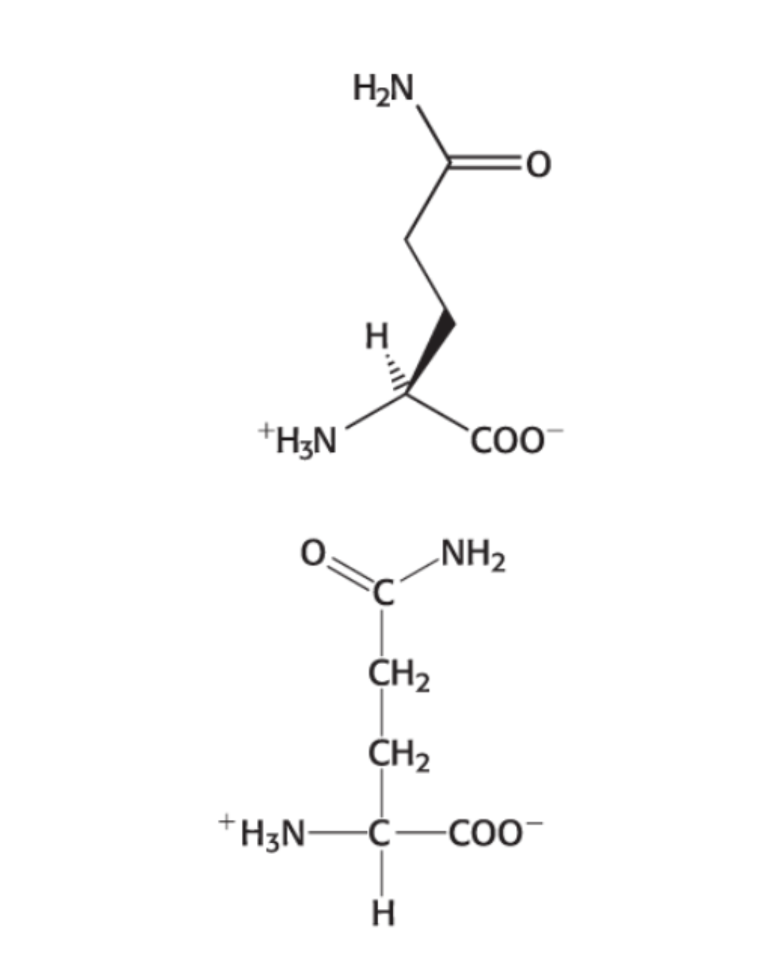 <p>HYDROPHILIC: <span style="background-color: transparent;"><span>Amide group at the third carbon</span></span></p>