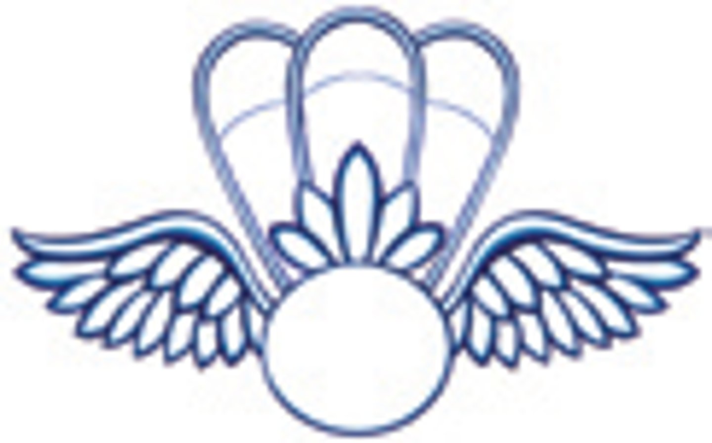 <p>Aviation Survival Technician</p>