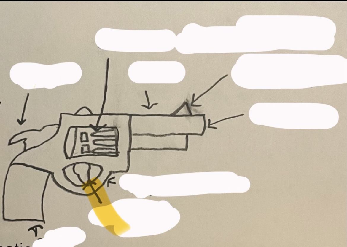 <p>what part of the revolver is this?</p>