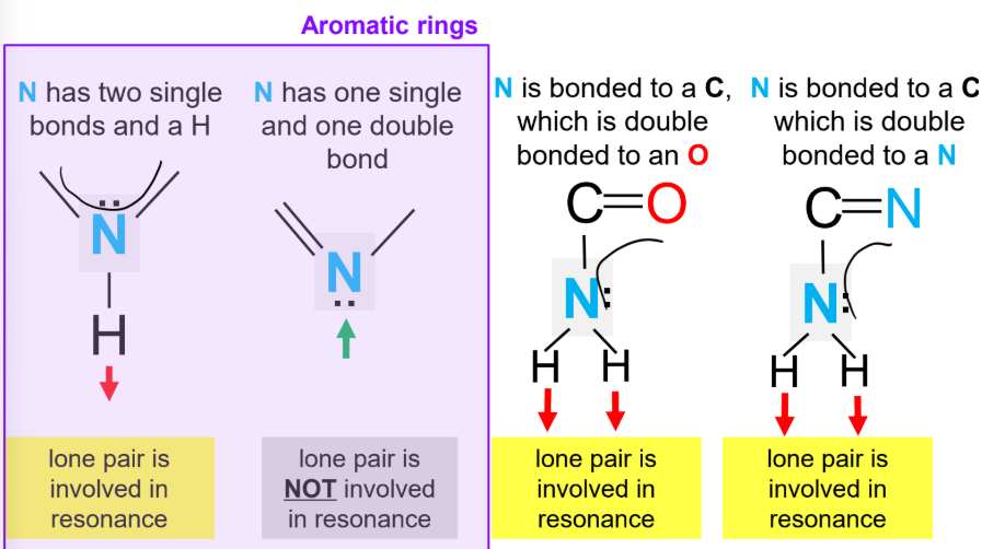 <ul><li><p>Lone pairs involved in resonance cannot accept hydrogen bonds.</p></li><li><p>In aromatic rings, an N with two single bonds and an H has its lone pair involved in resonance, while an N with one single and one double bond has a lone pair not involved in resonance.</p></li><li><p>When N is bonded to a C that is double bonded to O, the N lone pair is involved in resonance.</p></li><li><p>When N is bonded to a C that is double bonded to N, the N lone pair is involved in resonance.</p></li></ul><p></p>